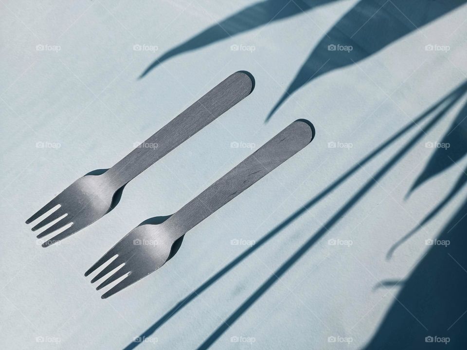 forks and shadows