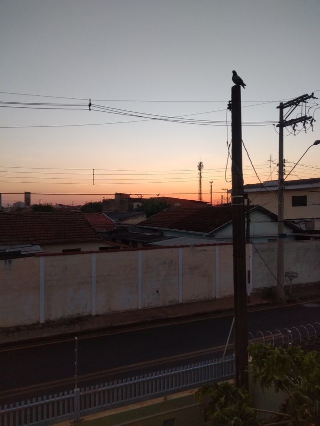 bem vindo foap
