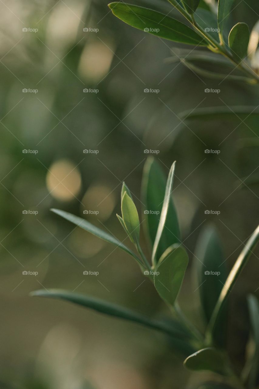 See the best pictures of 2021 taken | by Abdul Rahman