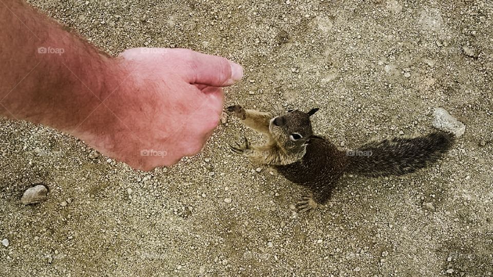 Passeggiando per Central Park