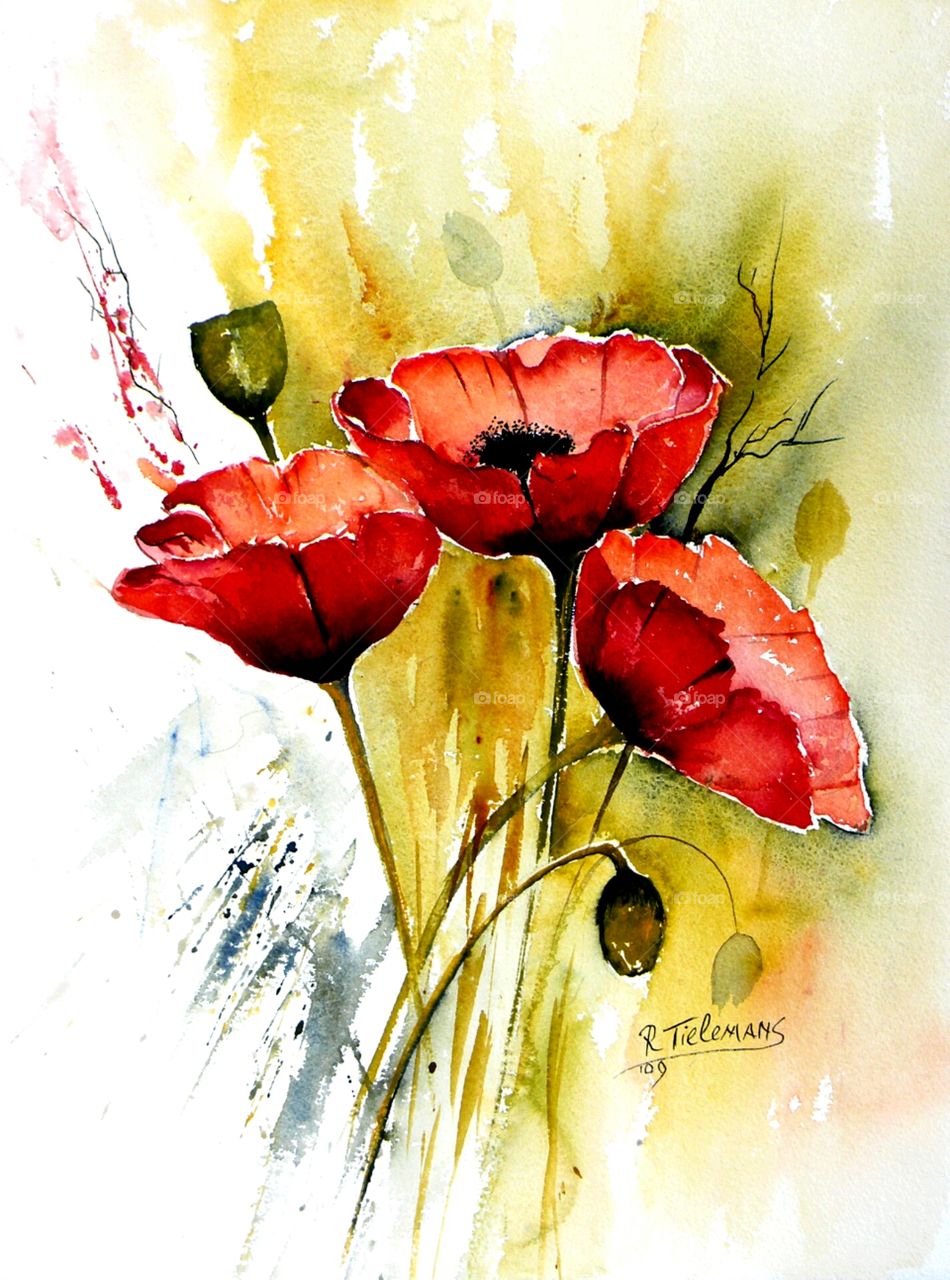 Poppies. Watercolour made by my wife Rita Tielemans
