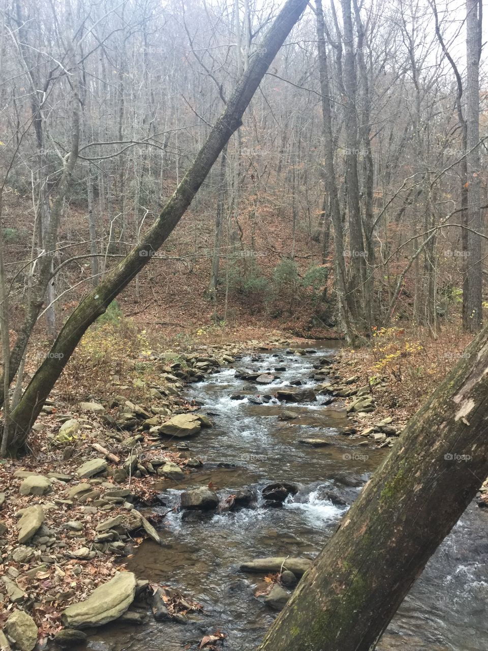N Georgia Creek