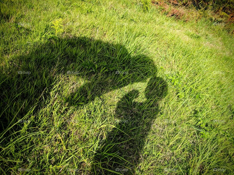 Shadow of father and son on the grass.