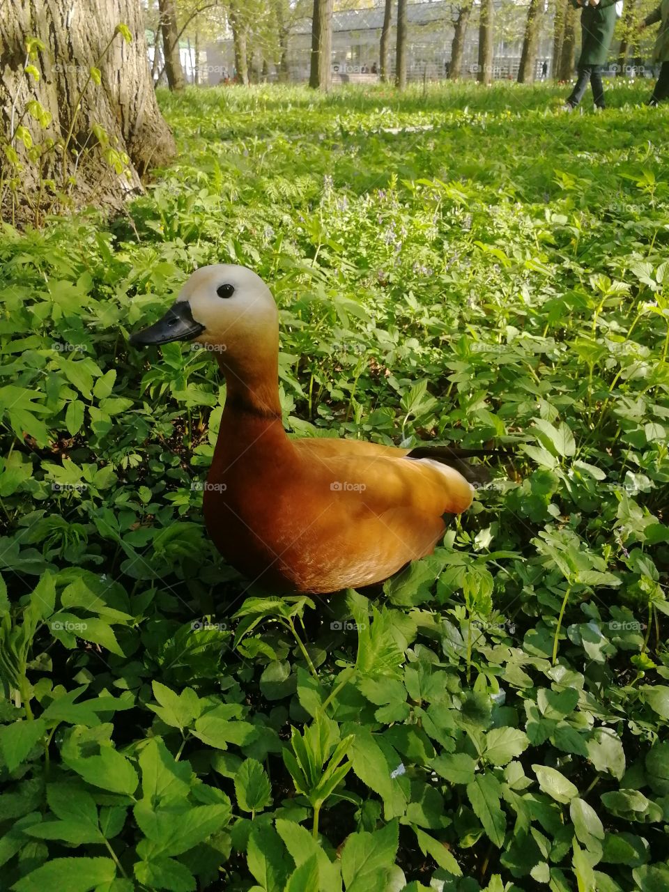 Книга природы есть неисчерпаемый источник познаний и вдохновения для человека