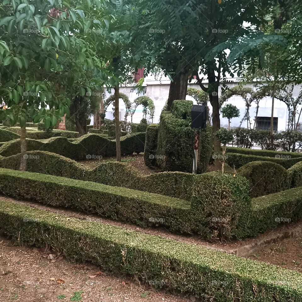 Bush trimmings  in fall