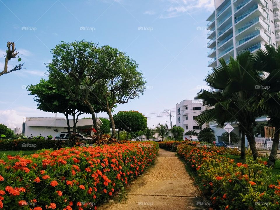 Jardim em Cartagena das Índias