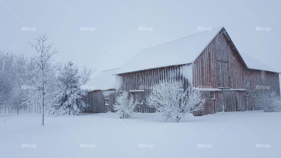 Weathered barn in winter