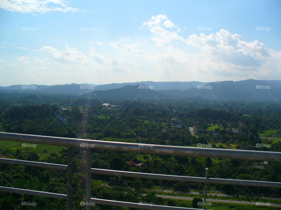 Landscape, Fence, Sky, Tree, No Person