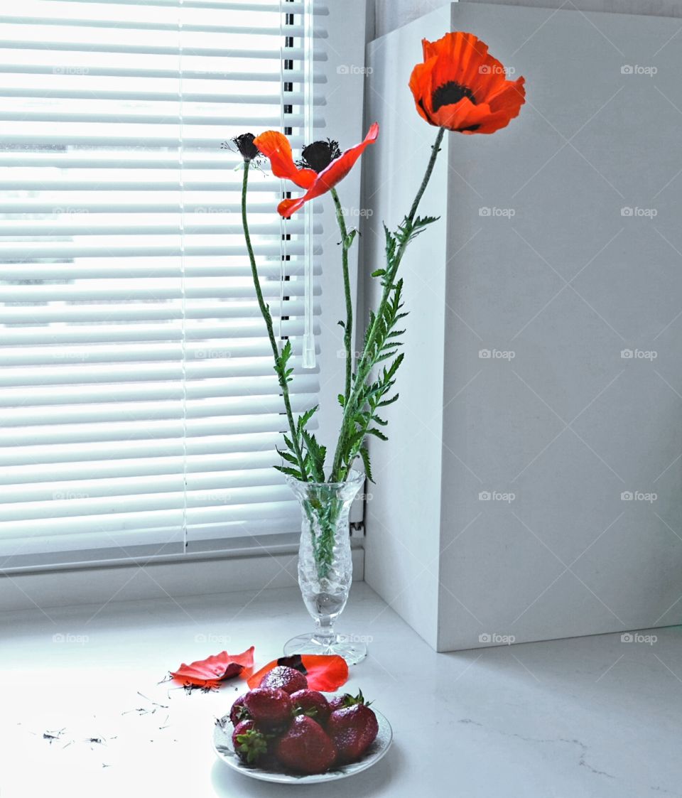 poppies and strawberry