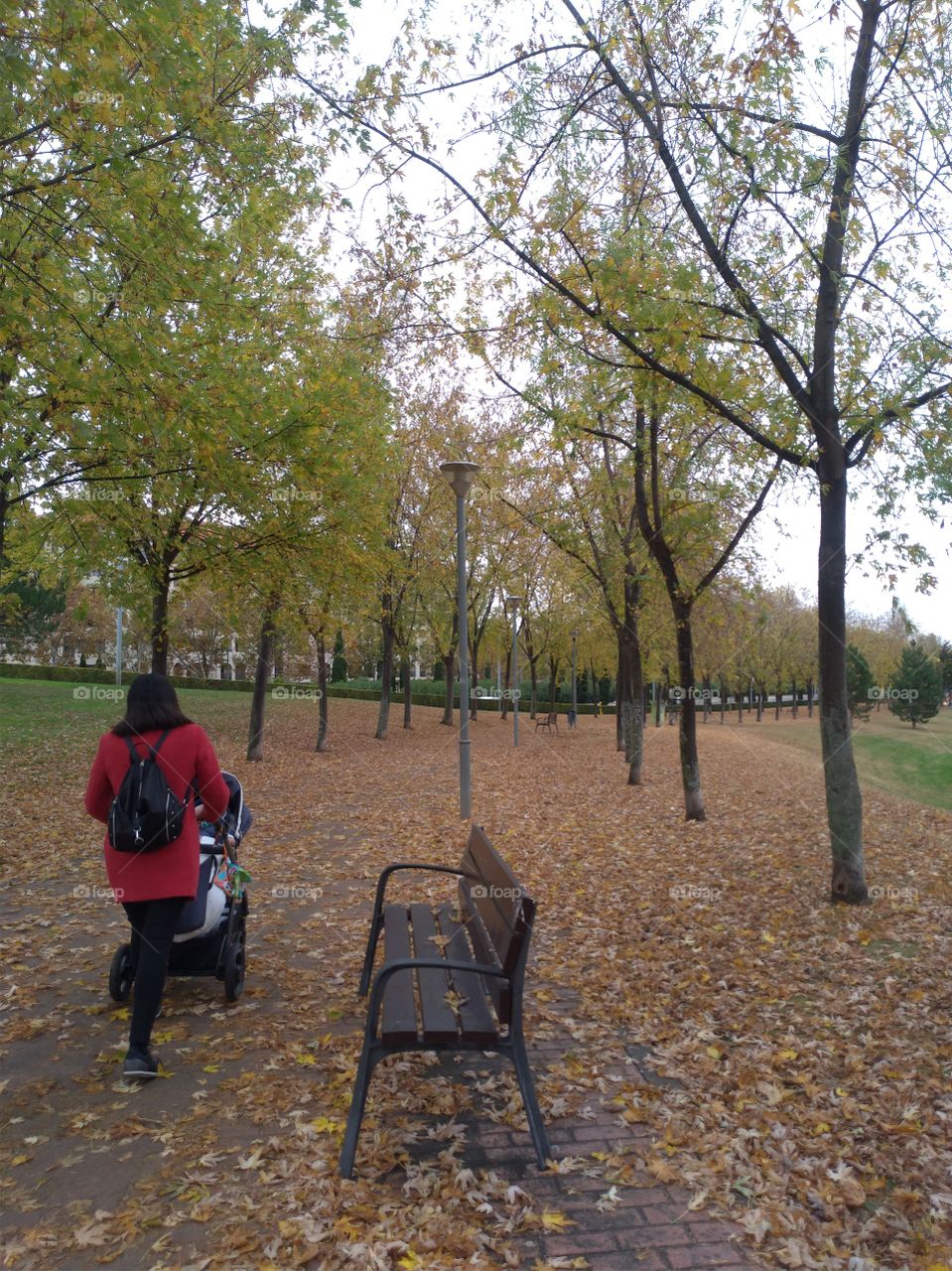 A woman walks in the in the park with her son in autumn