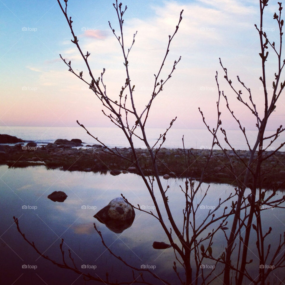 sky tree sunset water by birrber