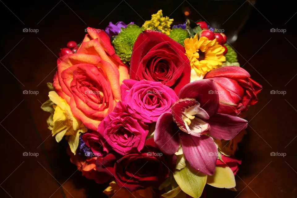 Blooms
