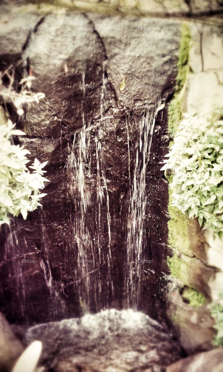 Waterfall. Waterfall at the zoo
