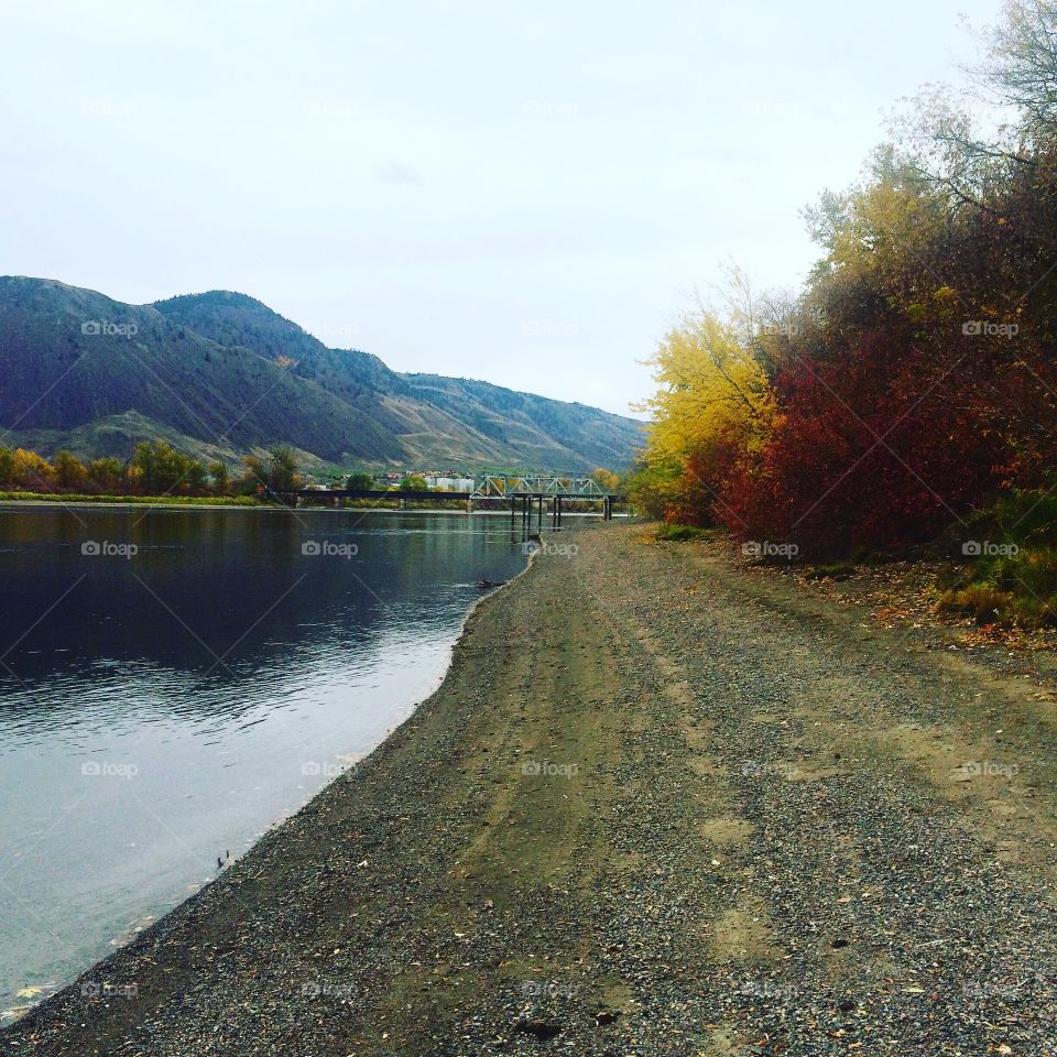 Fall walk on the beach! 