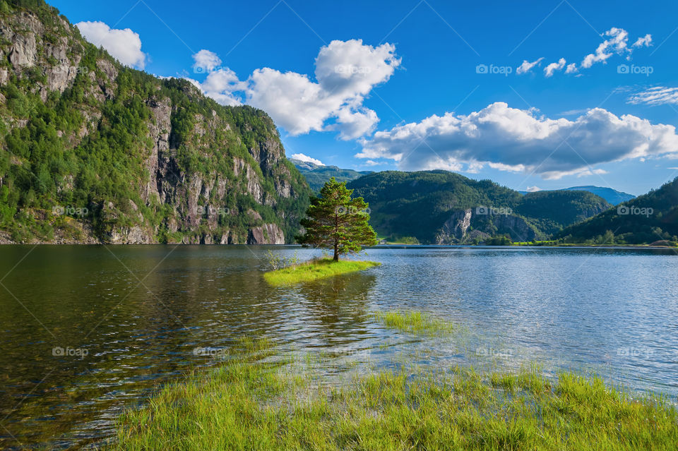 Lonely tree on little island in the middle of lake surrounded by mountains.