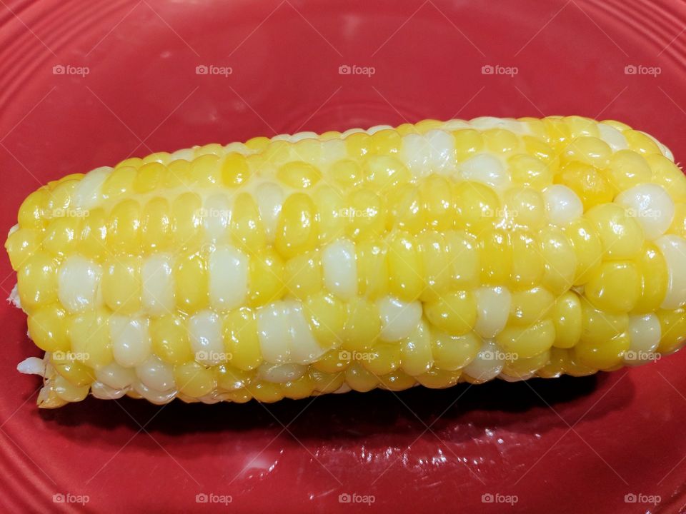 corn on the cob