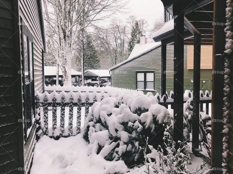 Waking Up to a Winter Wonderland