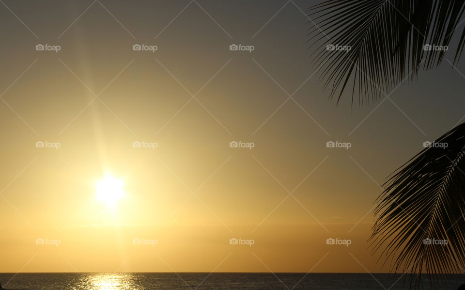 caribbean's sunset