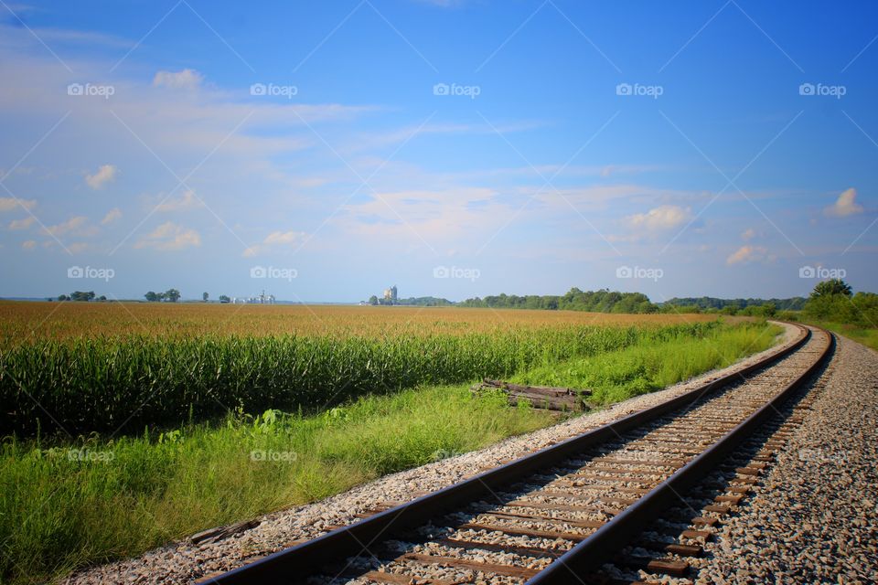 Railroad Tracks