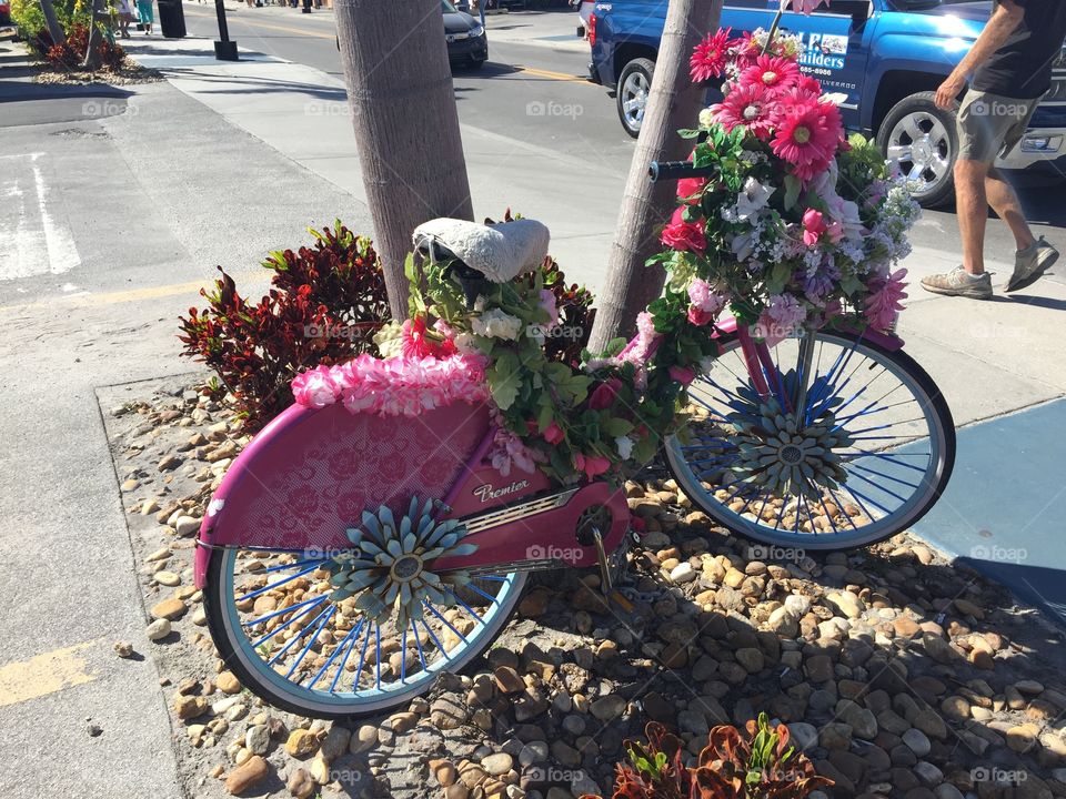 Flower bike