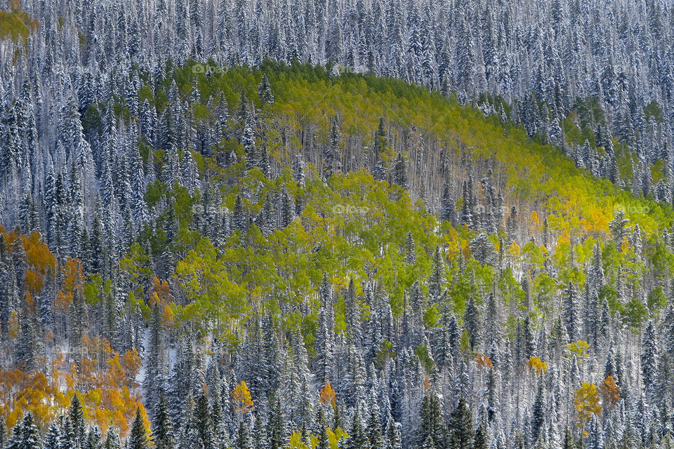 Wolf Creek Pass, CO