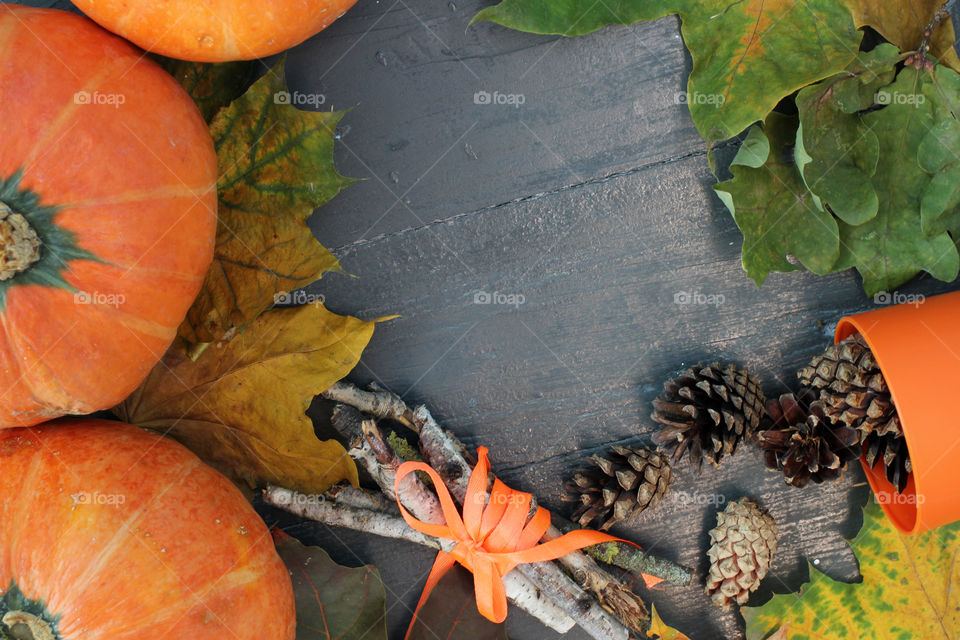 Vegetables, Halloween, pumpkin, corn, harvest, fertility, agriculture, food, cones, forest, birch branches