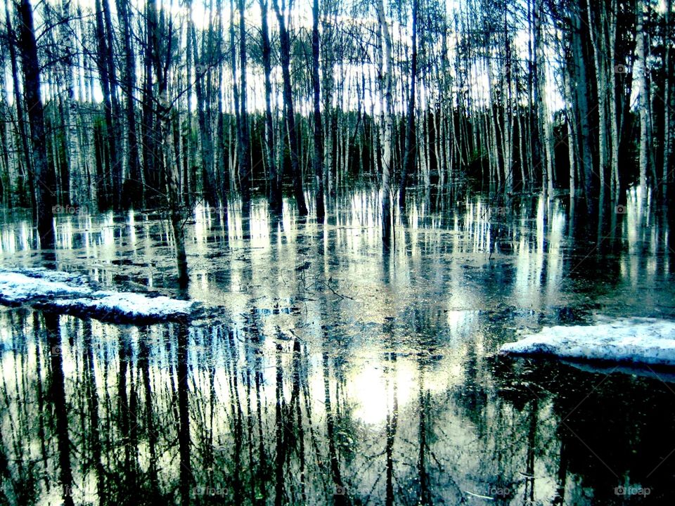 Spring flood
