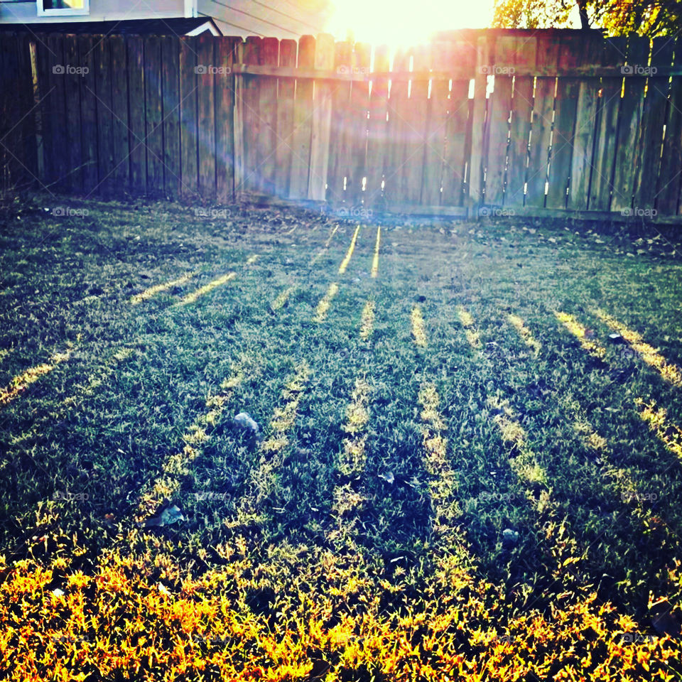 Light through fence