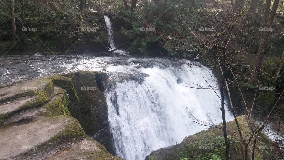 Whatcom Falls