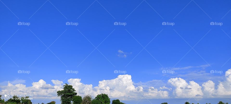 𝙍𝙖𝙢𝙜𝙤𝙥𝙖𝙡