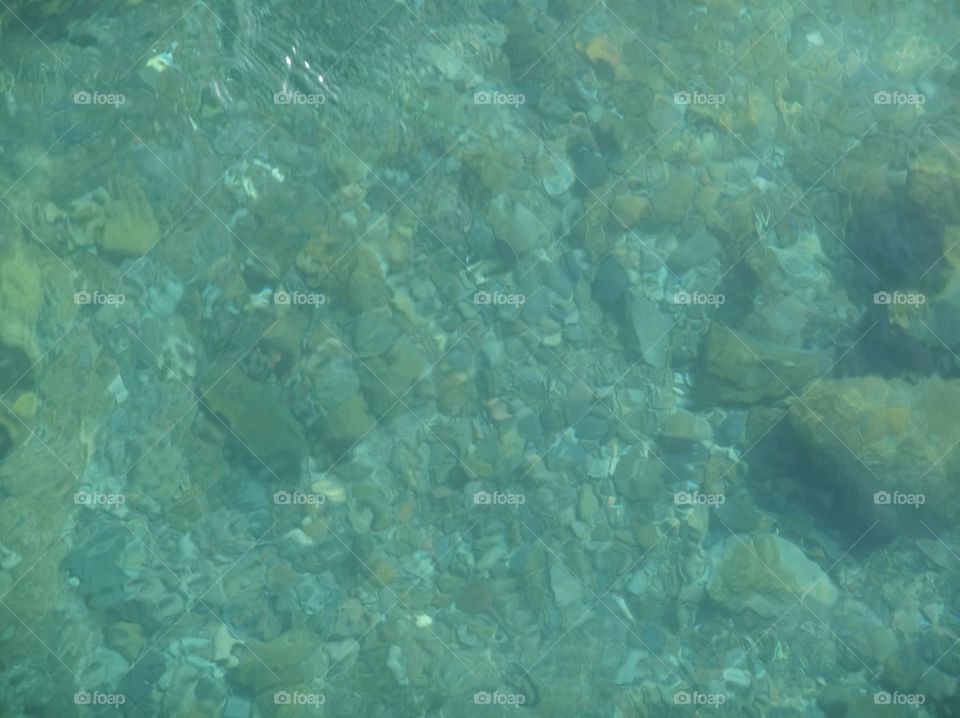 clear waters of Lake Tahoe