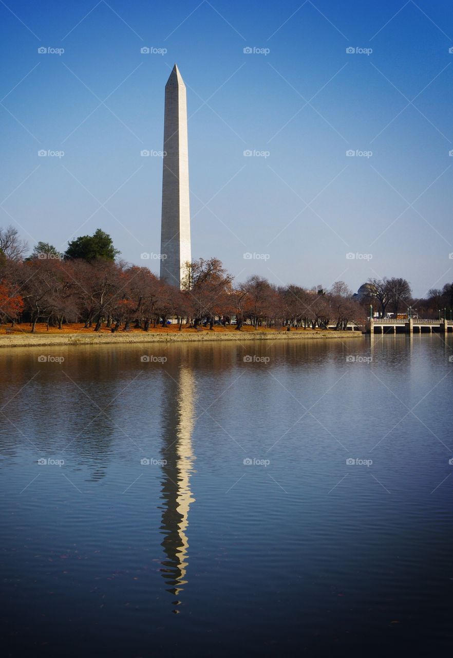 Reflection of Washington Monument in tidal basin of Washington DC in fall