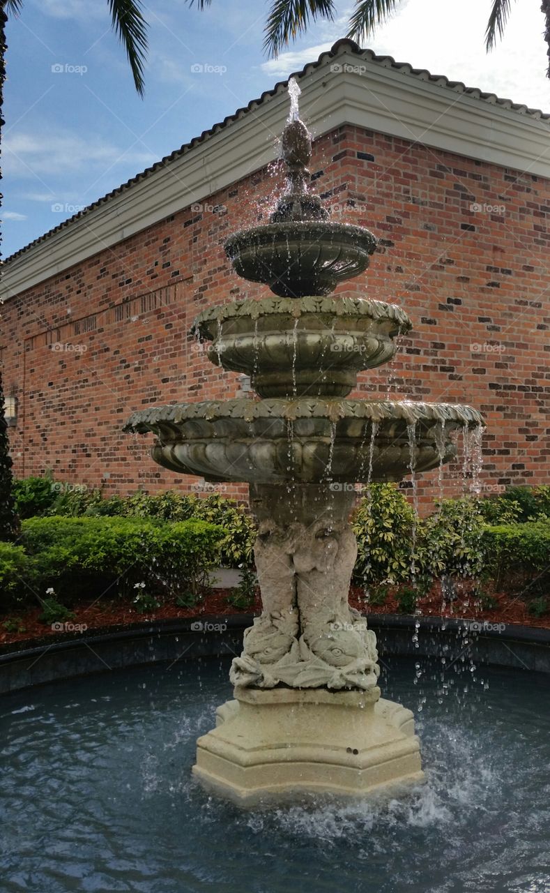 Fountain in garden