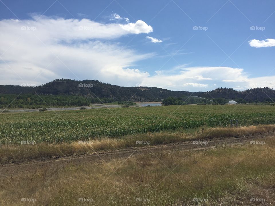 Landscape, No Person, Nature, Sky, Agriculture