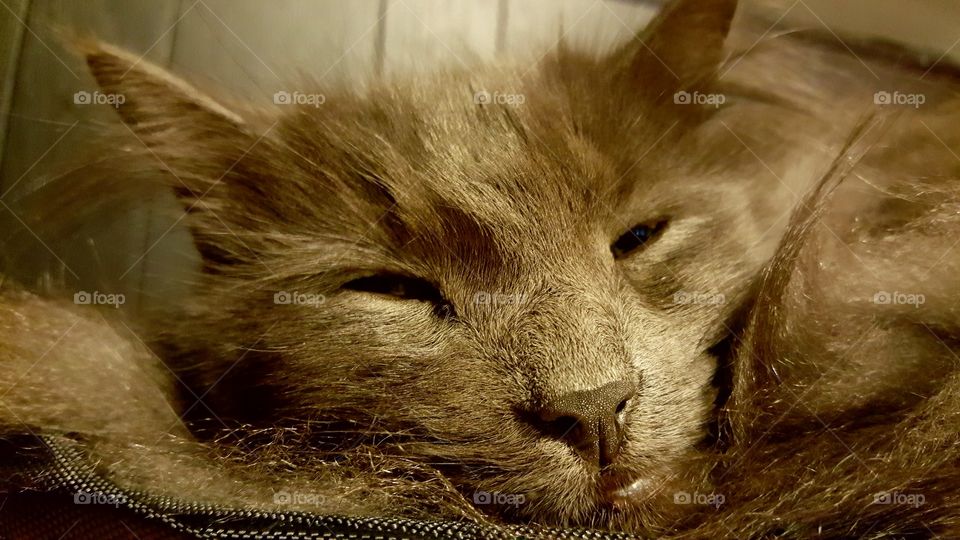 Beautiful macro shots