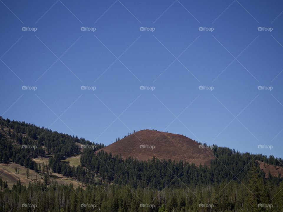 The mountains and forests of Oregon on a sunny fall day. 