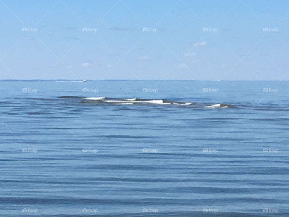 Current coming in from the ocean on the beach, 