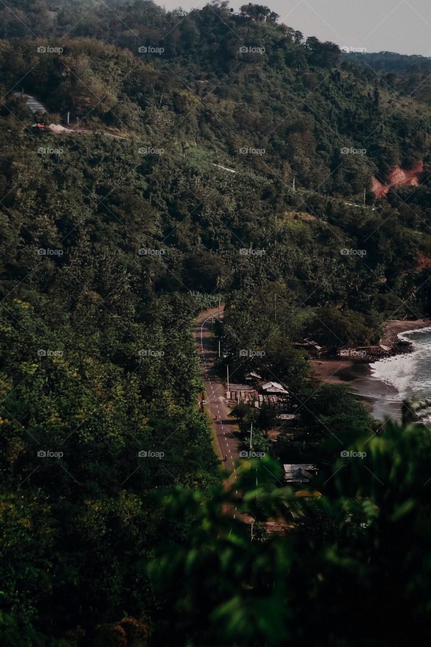 roads in the expanse of forests and beaches taken from high hills