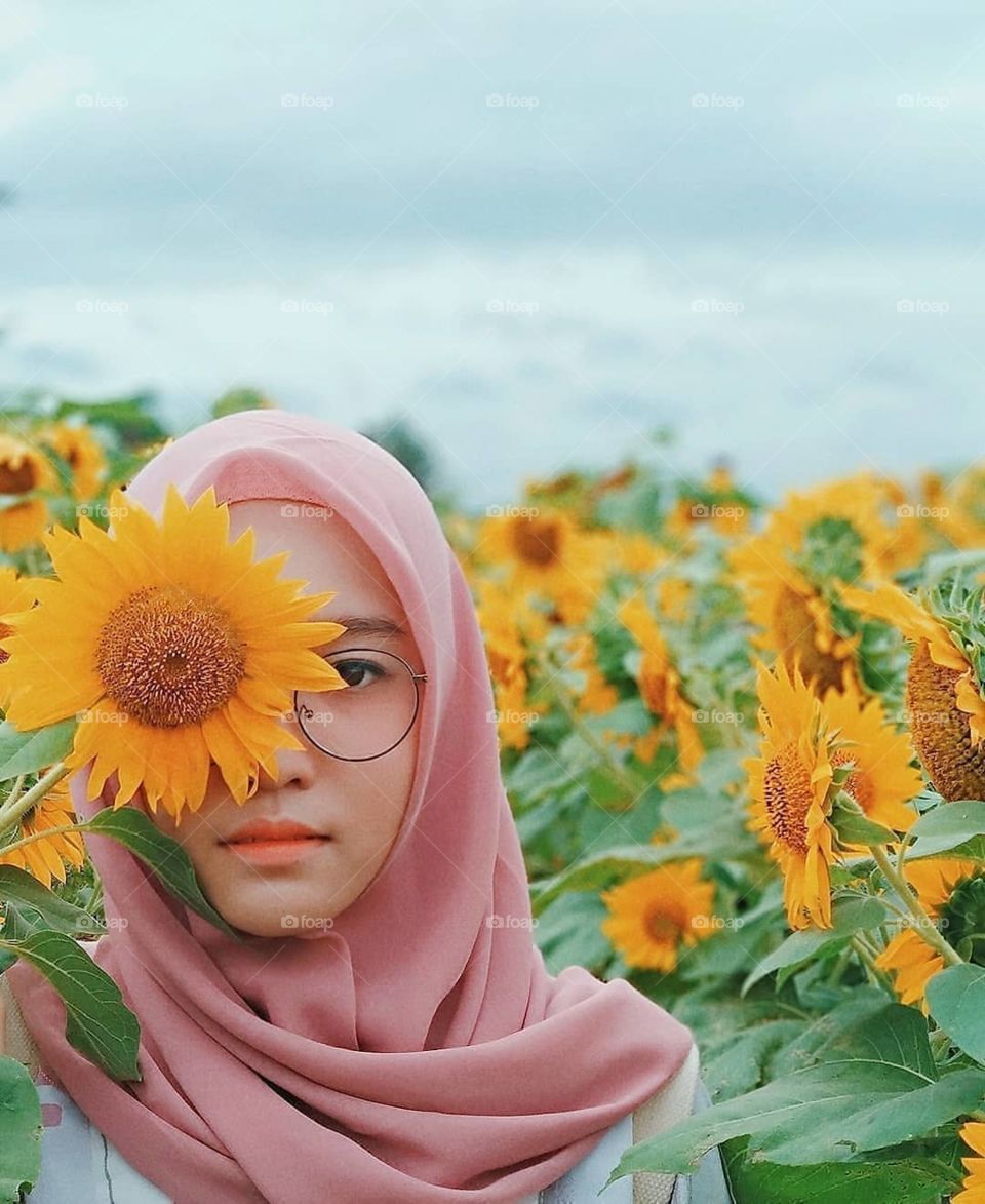 Bunga Matahari di Indonesia