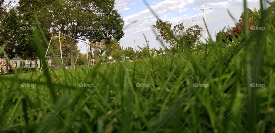 soccer from a different view