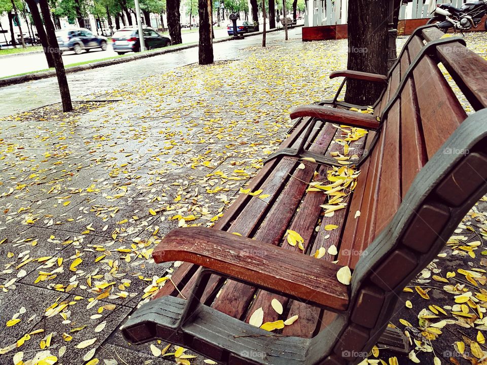 Close-up of empty bench at park