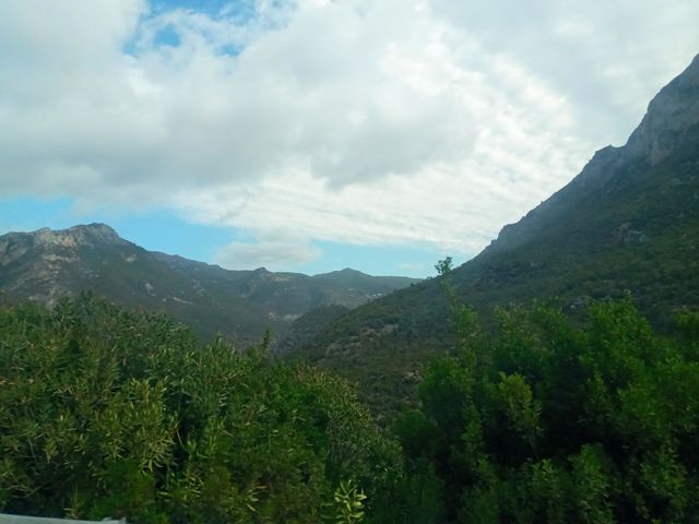 Landscape