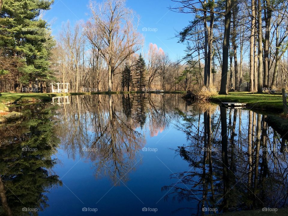 Pond reflection