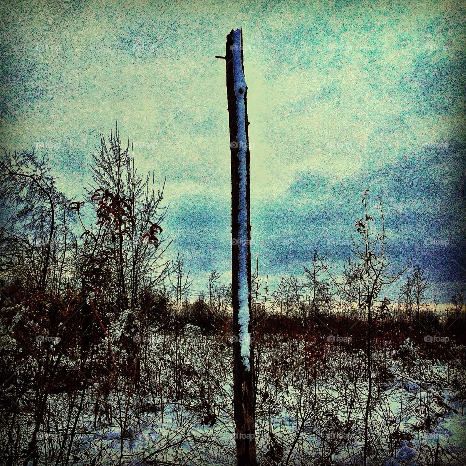 An abstract photo of a rural snowfall shows a lonely tree without limbs or leaves standing tall in the rural south