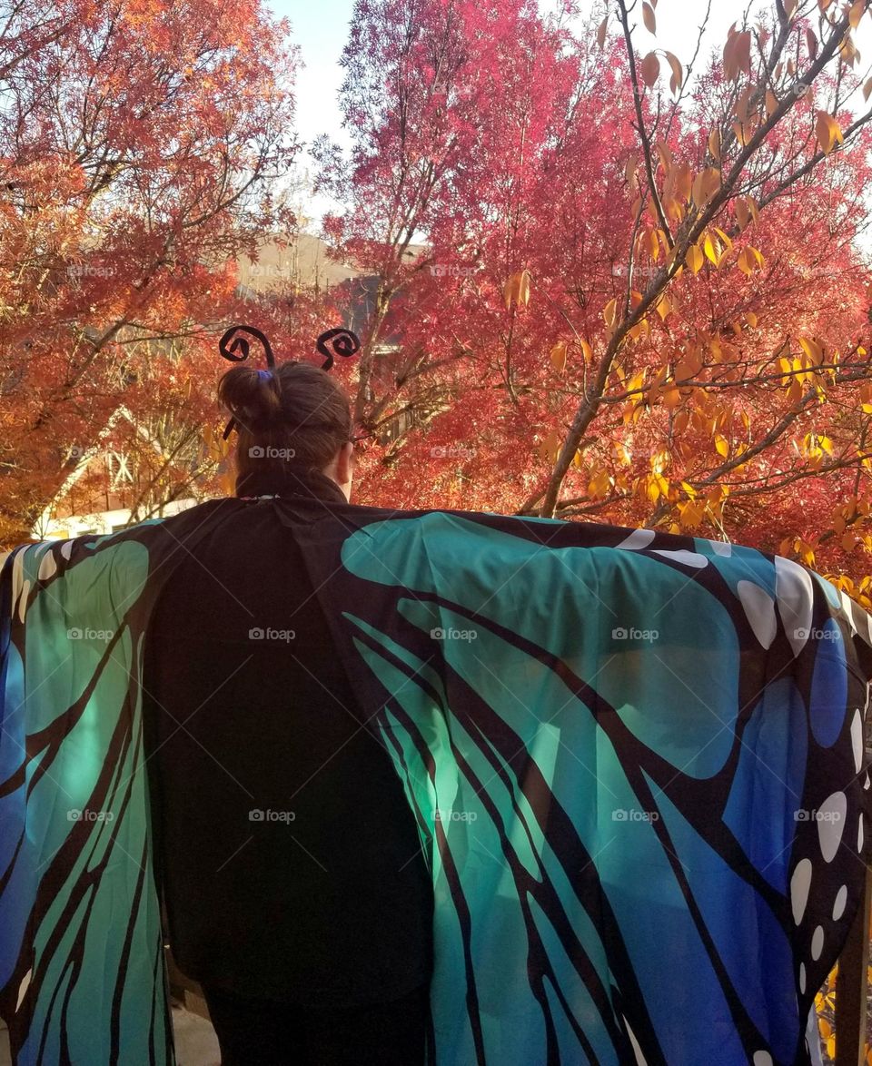 woman wearing a butterfly costume spreading colorful wings looking out at Autumn trees in Oregon