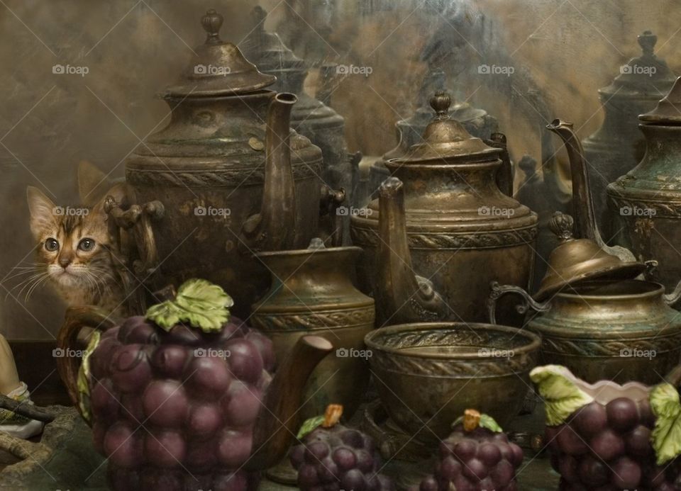 Bengal Kitten with Antiques