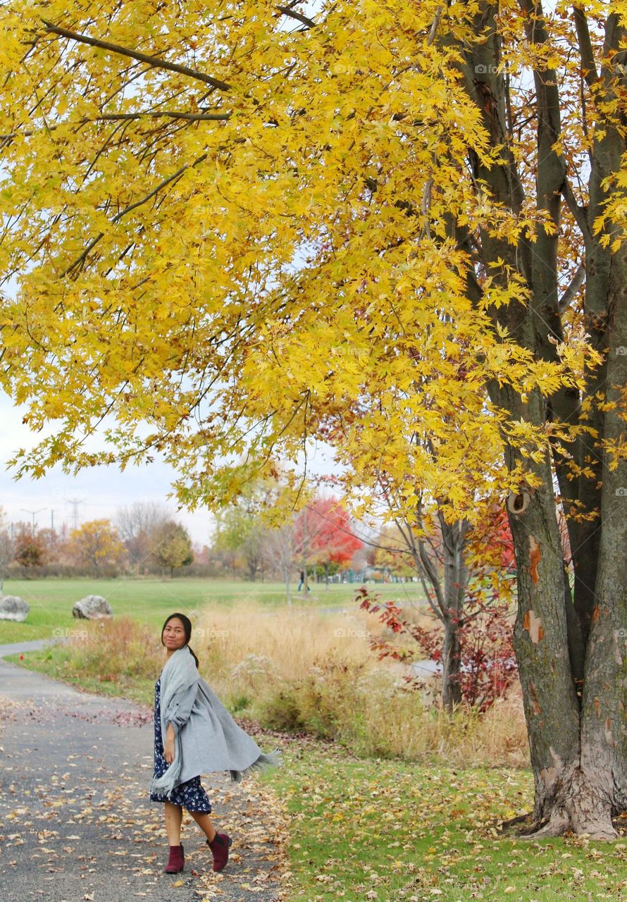 under the yellow tree