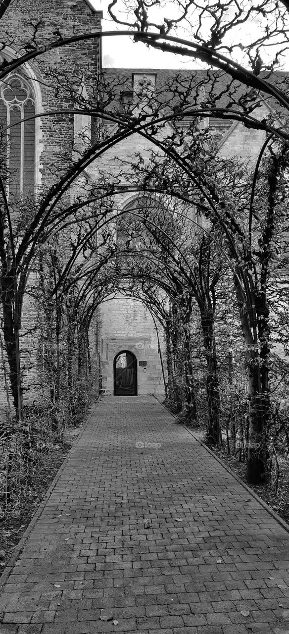 Black and white shot