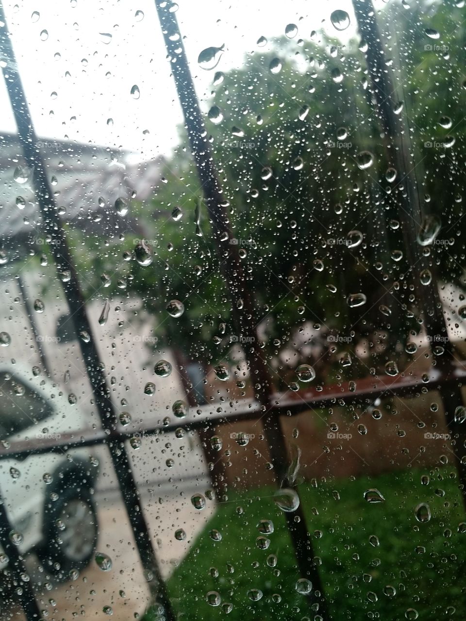 rain in the window