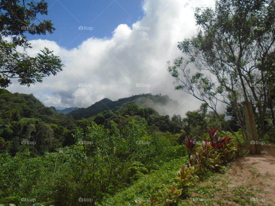 Montañas de Turgua, El Hatillo, Miranda, Venezuela/Turgua mountains, El Hatillo, Miranda, Venezuela